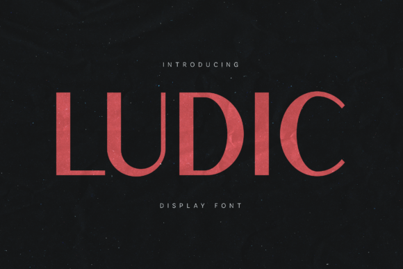 Ludic: A Contemporary Sans Serif for Bold Editorial Design